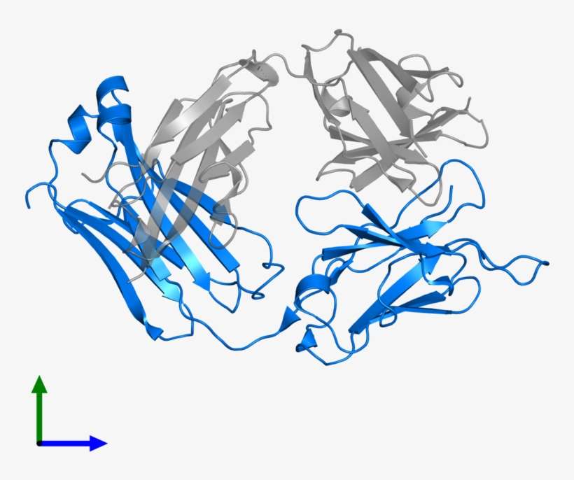 <div Class='caption-body'>pdb Entry 3c5s Contains 1, transparent png download