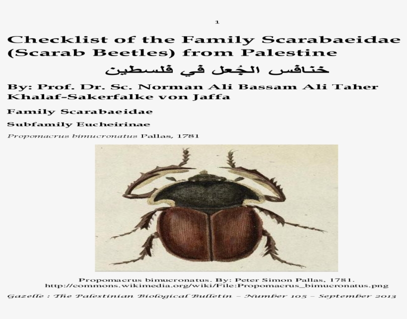 Checklist Of The Family Scarabaeidae From Palestine, transparent png download