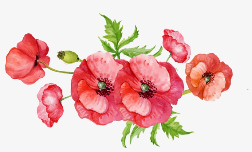 No Doubt You All Know The Last Year Has Been A Hard - The Move, transparent png download