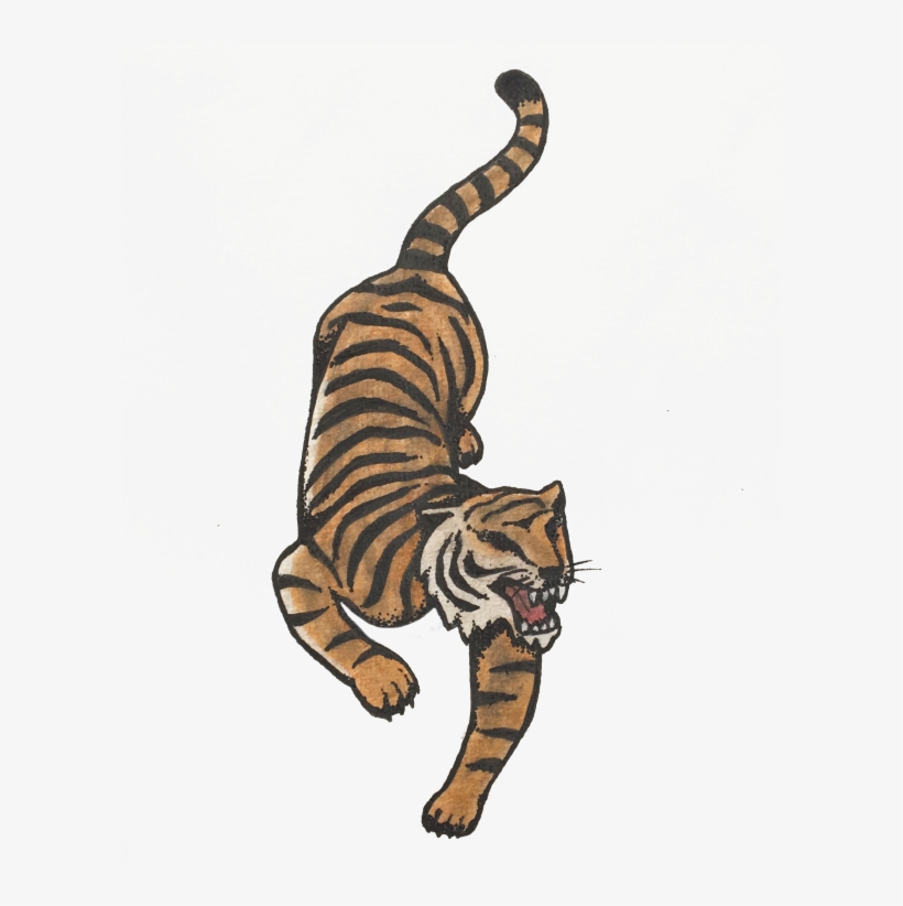 Tiger - Siberian Tiger, transparent png download