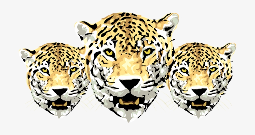 Leopard - Amur Leopard Png Transparent, transparent png download