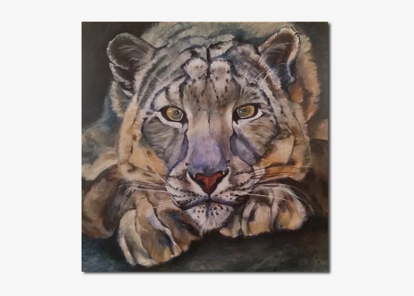 Snow Leopard, transparent png download