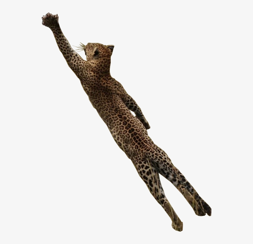 Cutout - Jaguar, transparent png download