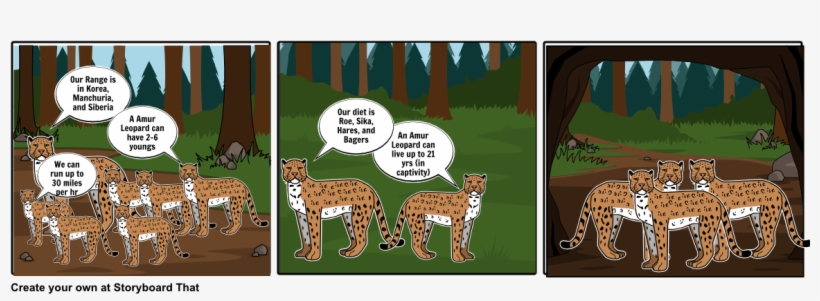 Amur Leopard - Cartoon, transparent png download