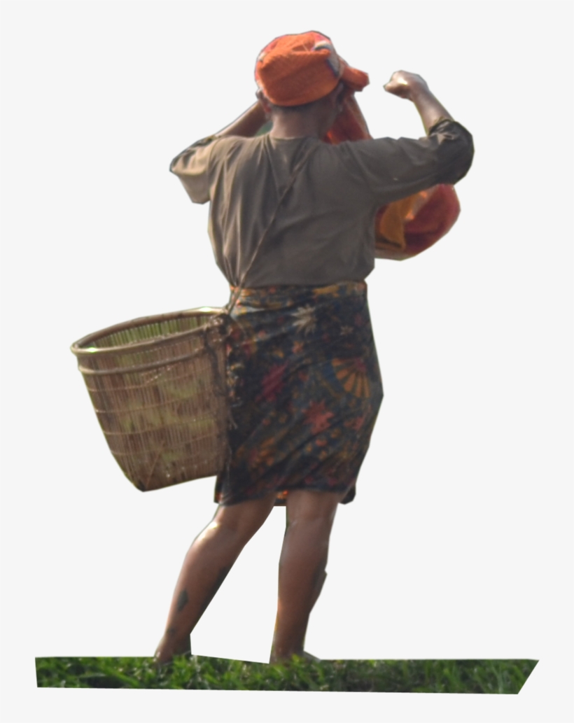 Farmer Png Picture - Farmer Png, transparent png download