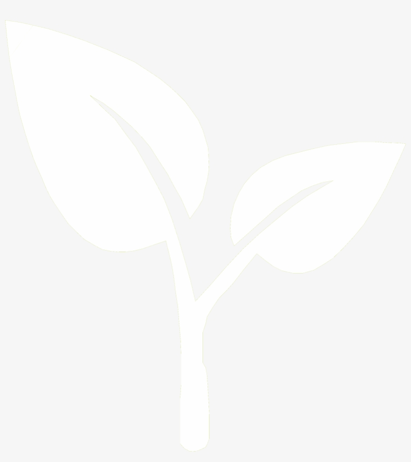 The Playground Surface Has To Protect A Person From - Flower Png Icon White, transparent png download