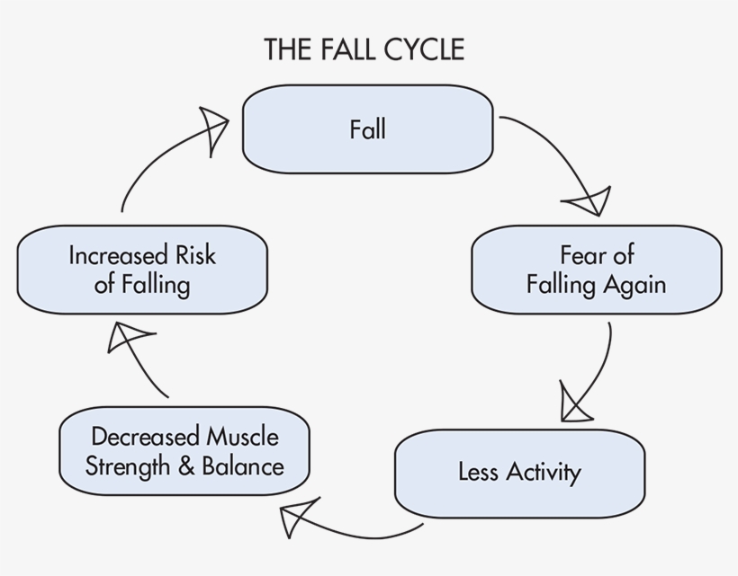 Falls Are Commonly Cited As A Contributing Reason For - Diagram, transparent png download