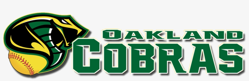 Team, transparent png download