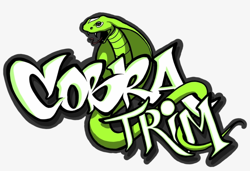 Cobra Trim - Cobra Trim - Vehicle Interior Trim & Conversions, transparent png download