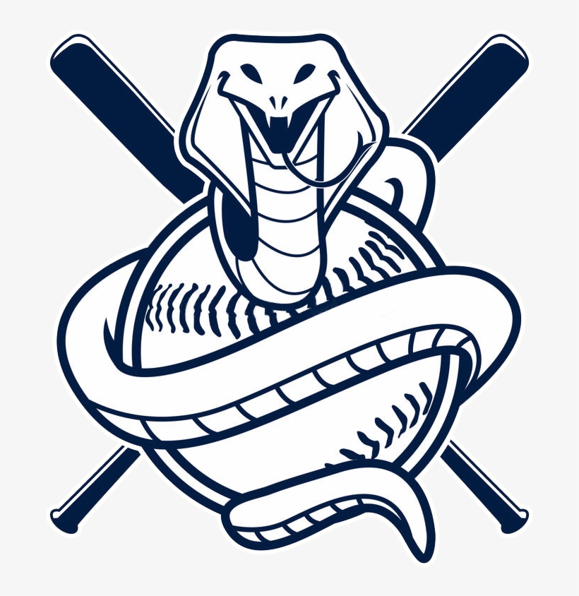 Cobra Vector Baseball, transparent png download