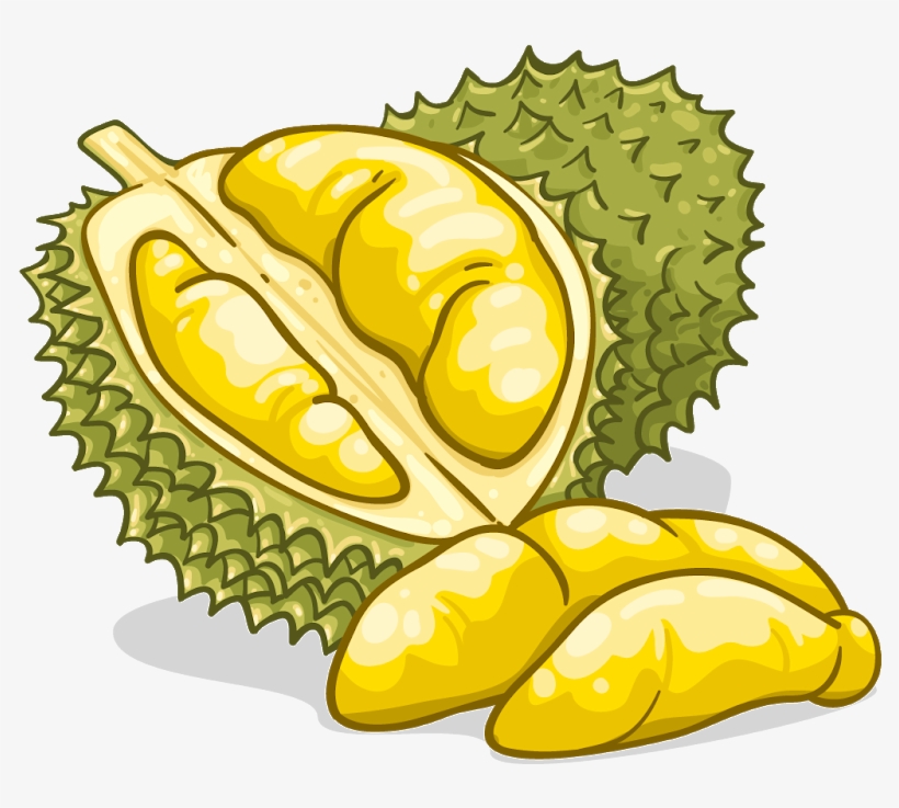 Durian Clipart, transparent png download