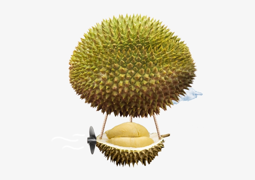 Our Freshest Durians - Food, transparent png download