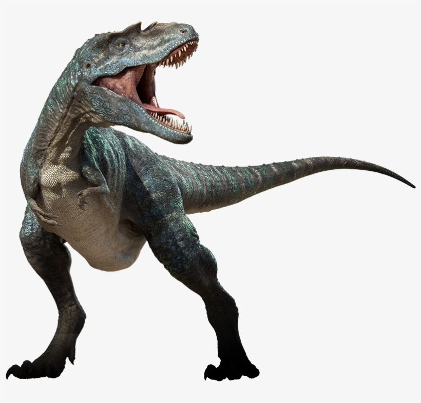 Dinosaurs Png Free Download - Gorgosaurus Dinosaur, transparent png download