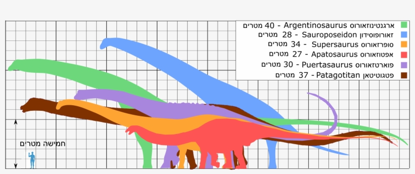 Biggest Dinosaurs Ver07 He - Illustration, transparent png download