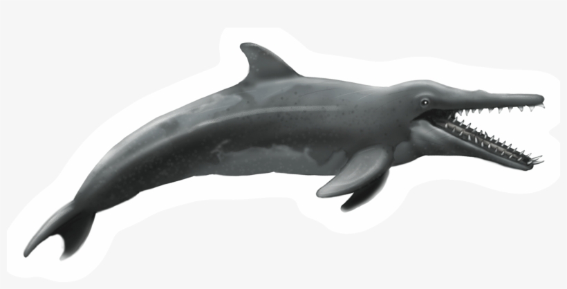 Dinosaur Dolphin, transparent png download