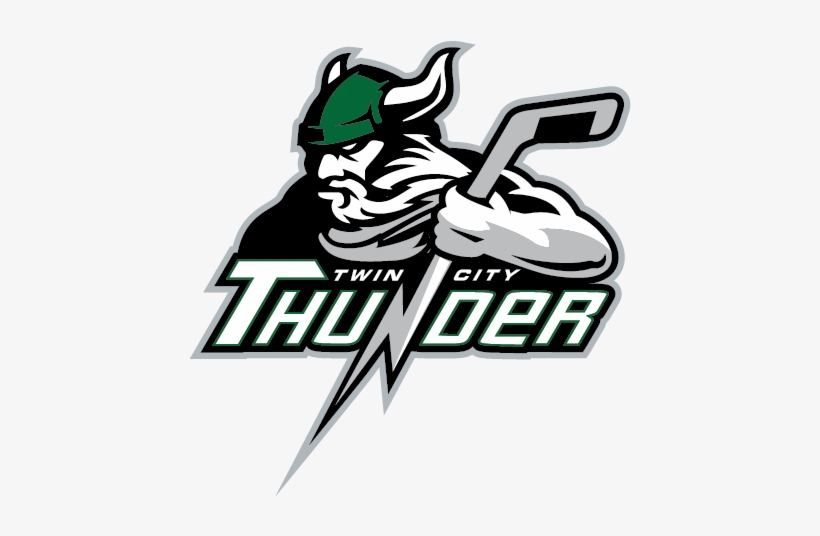 Share On Social - Twin City Thunder Hockey, transparent png download