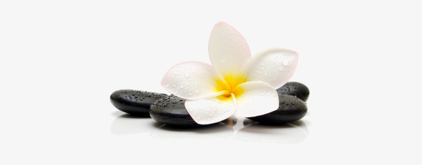 Retreat Nails Spa Salon - Massage, transparent png download