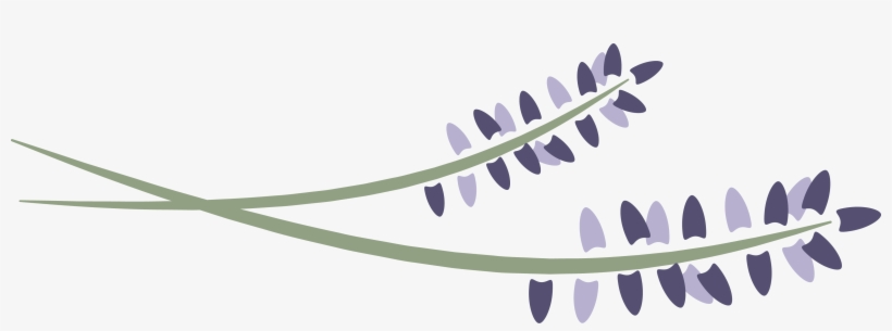 Lavenderlogohorizontal - Lavender Springs Spa Plant, transparent png download