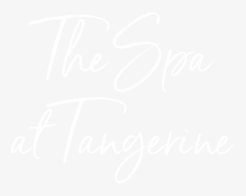 Spa - Ps4 Logo White Transparent, transparent png download