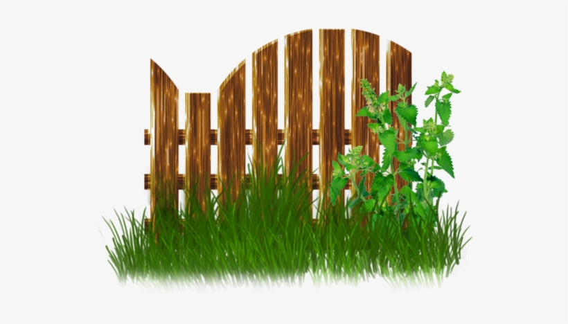 Belle - Bamboo Fence Png, transparent png download
