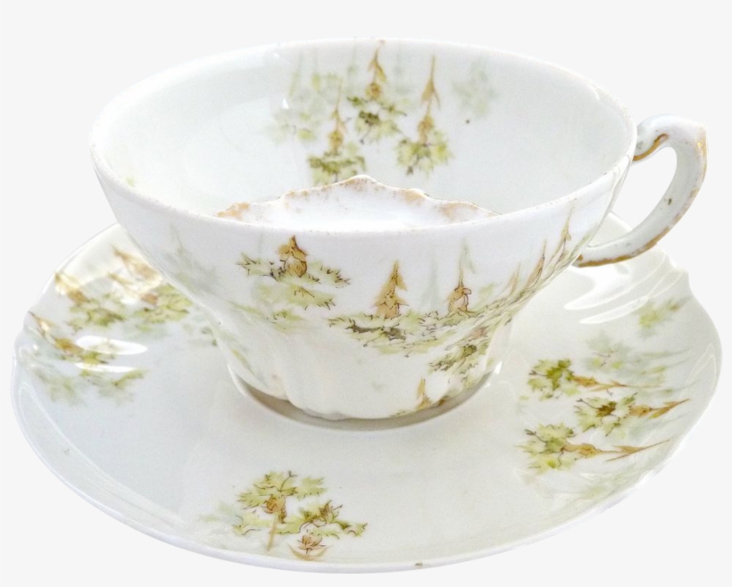 Fine Porcelain Mustache Cup From Haviland Limoges C - Teacup, transparent png download