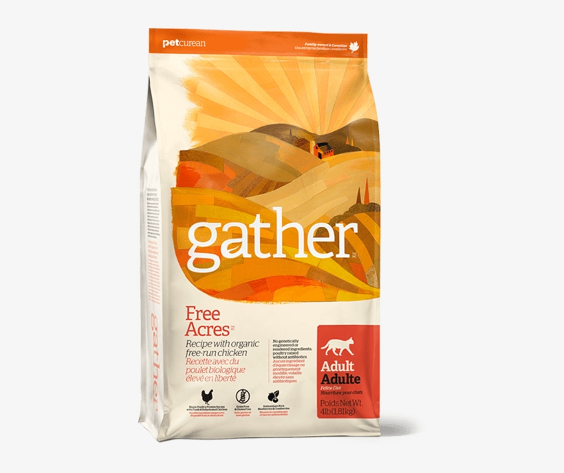 Gather - Gather Free Acre Cat Fd 4#c=6 {bin-1}152079, transparent png download
