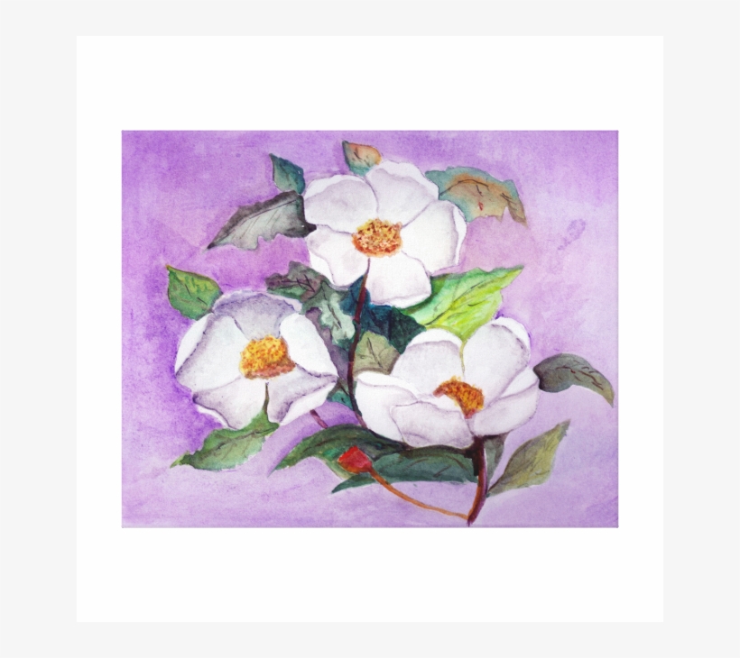 Three White Magnolias Lavender Background Canvas Gallery - Canvas, transparent png download
