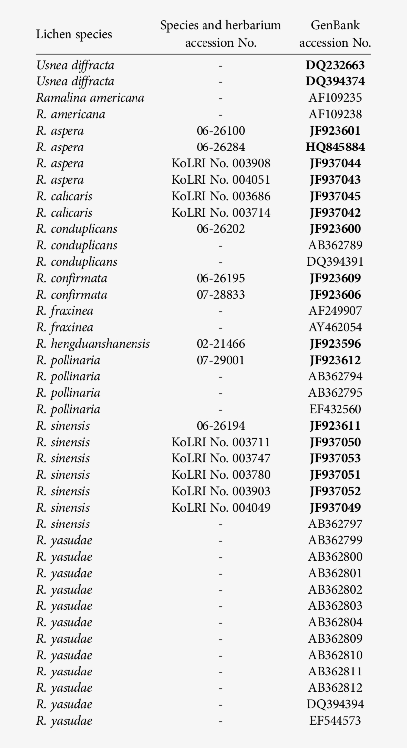 Voucher Specimens And Genbank Accession Numbers Of, transparent png download