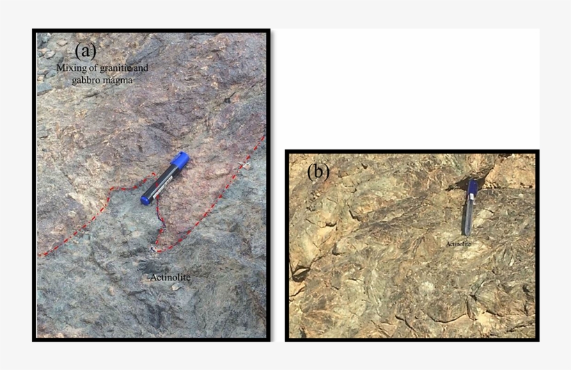 A Massive Thick Amphibole Layer Has Been Developed, transparent png download