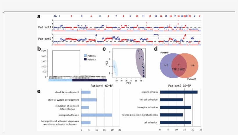 Individual Differences Between Two Patients, transparent png download