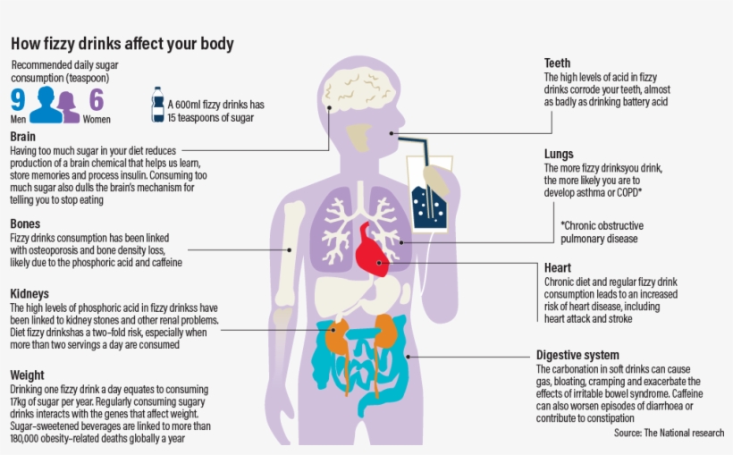 Ramon Peñas Jr / The National, transparent png download