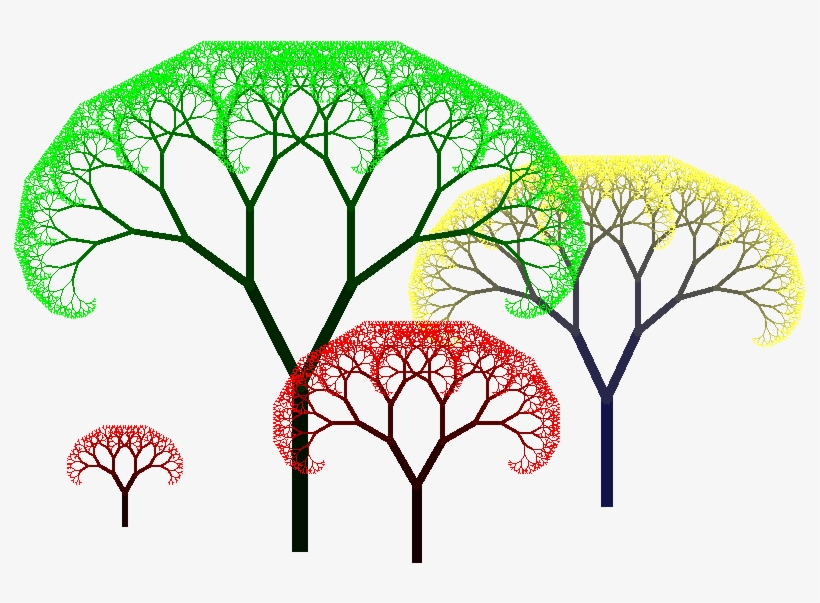 The Root Of Each Tree Bifurcates While Changing Scale, transparent png download