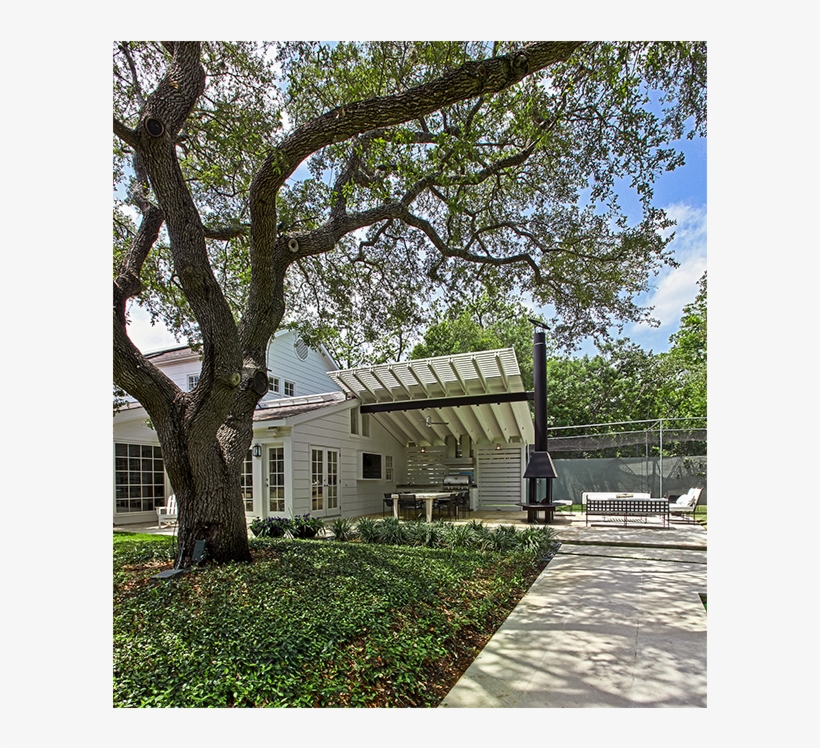 Backyard Room - Tree, transparent png download