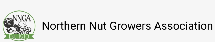 Oval, transparent png download