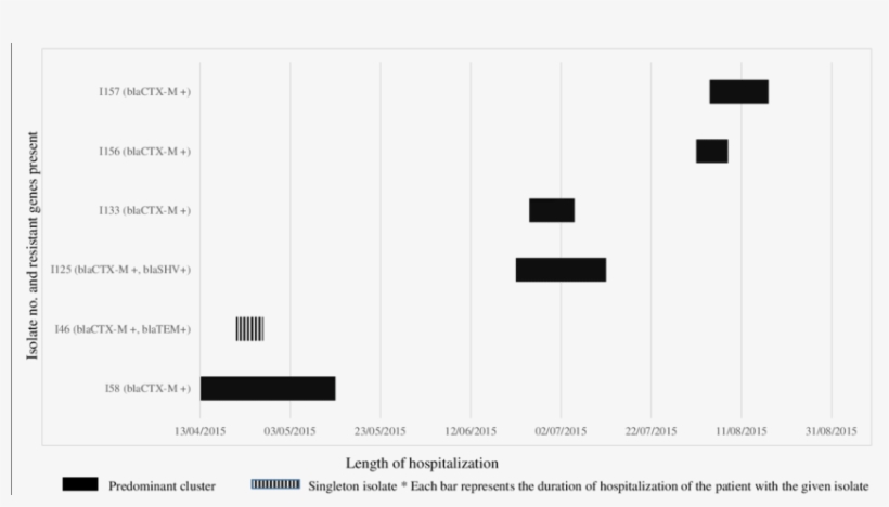 Timeline Of Icu Stay In Patients With E - Number, transparent png download