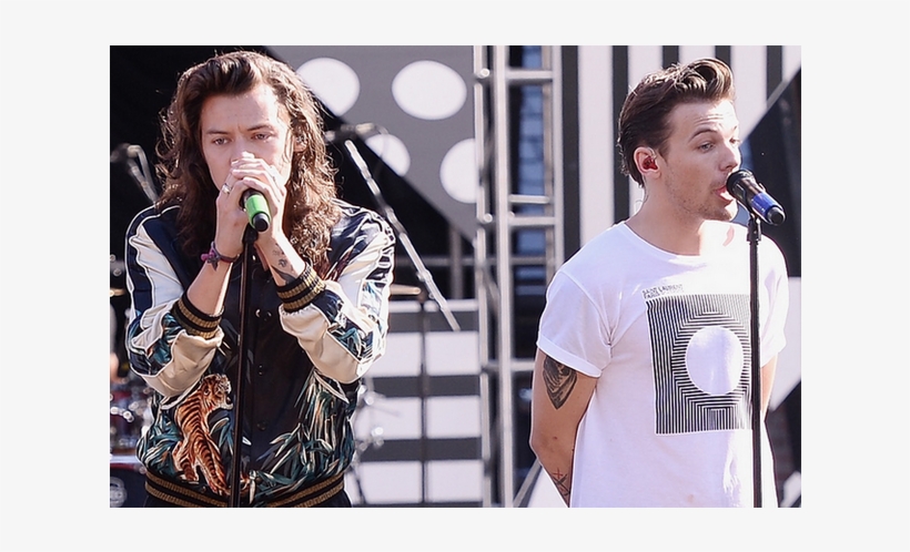 Harry Styles E Louis Tomlinson Casados Há 2 Anos Fãs - Singing, transparent png download