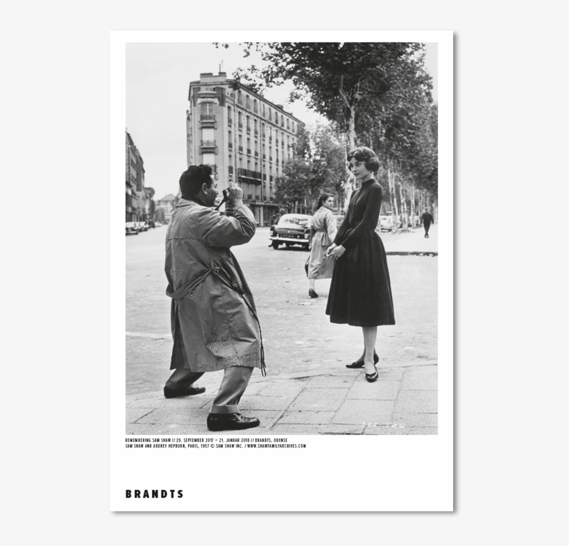 Audrey Hepburn, transparent png download