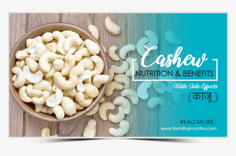 Cashew Nut Photography, transparent png download