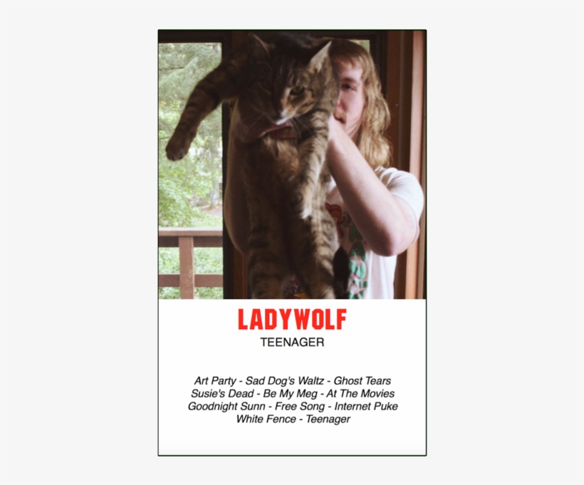 "teenager" - Cat Grabs Treat, transparent png download