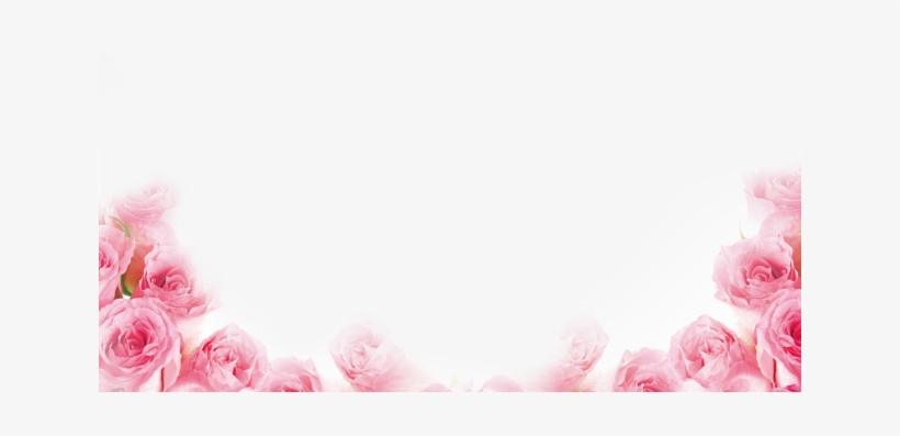 Border Clipart Pink Rose - 玫瑰 素材, transparent png download
