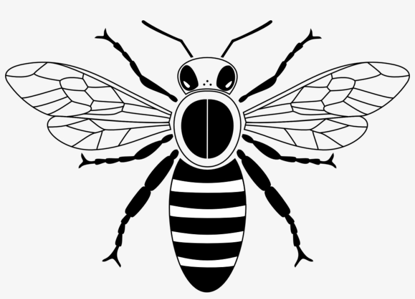 Picture Freeuse Library Clipart Honey Bee - Honey Bee Images Drawing, transparent png download