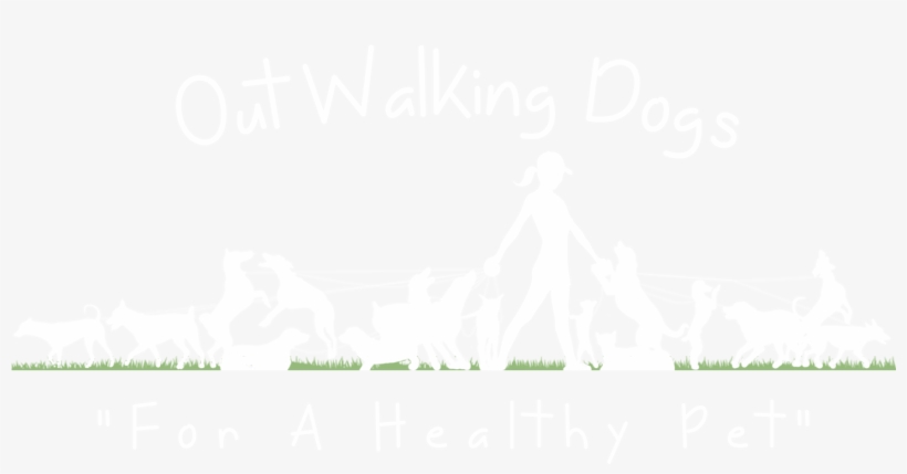 Call 922-9112 For Immediate Dog Walking Or Pet Sitting - Dogs Out Walking, transparent png download