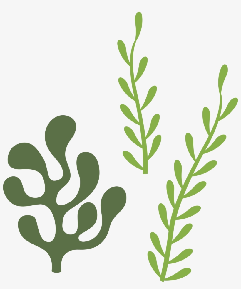 Categories - Coral Silhouette, transparent png download