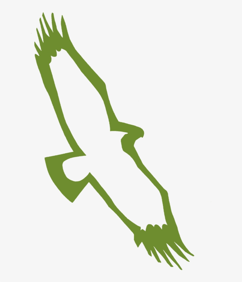 Quantock Hills Aonb Review Of The Quantock Hills Management - Illustration, transparent png download