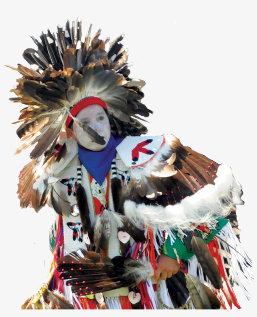 Ticket Order Form - Domesticated Turkey, transparent png download