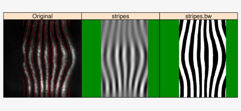Stripe Quantification On An Eve Image - Zebra, transparent png download
