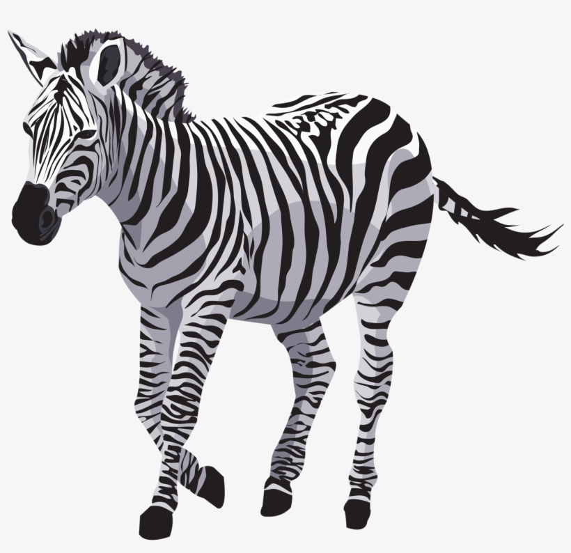 Png Quote Pinterest Zebras Animals And - Animales Con Fondo Blanco Png, transparent png download