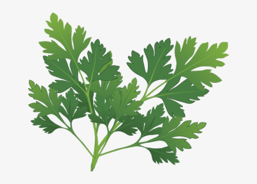 Clip Art Black And White Graphic Design Pinterest Herbs - Herbs Clipart, transparent png download