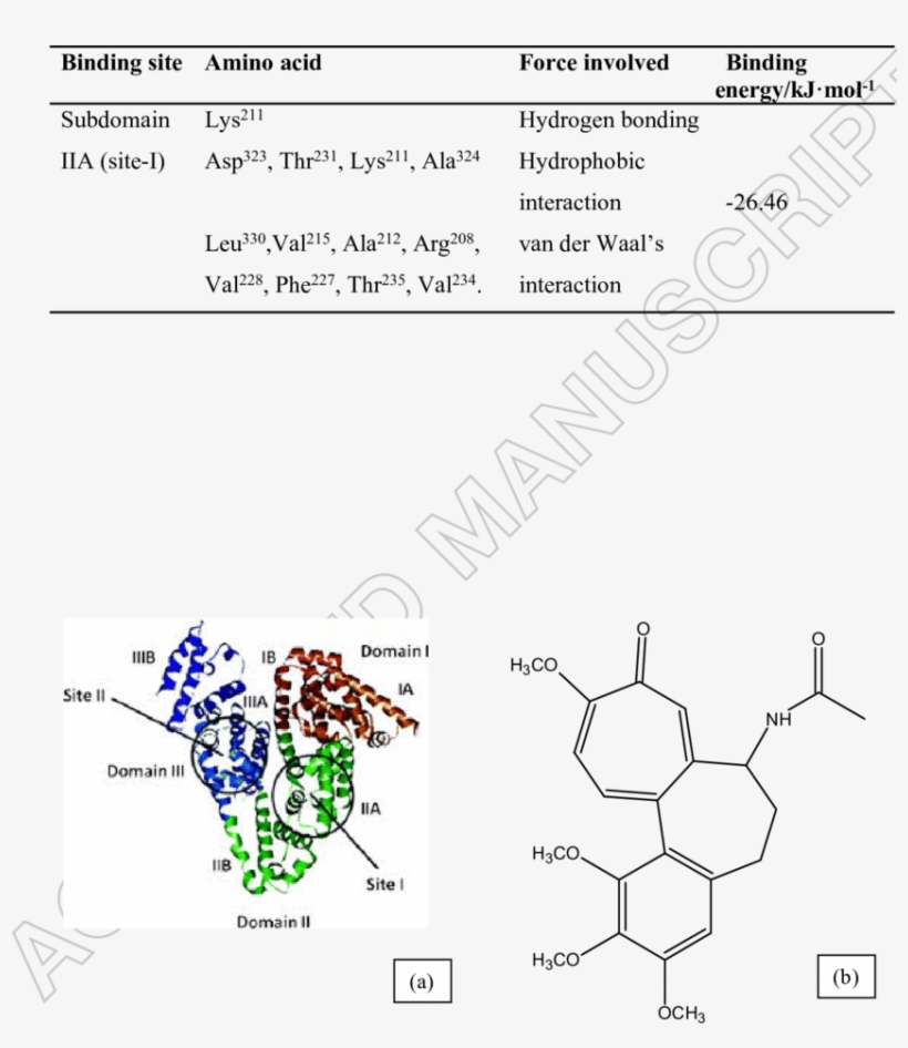 Jpg Royalty Free Stock Acid Drawing Crystal - Structure De L Albumine, transparent png download