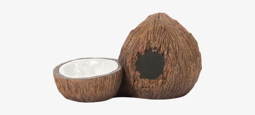 Exo Terra Coconut Hide And Bowl - Hardwood, transparent png download